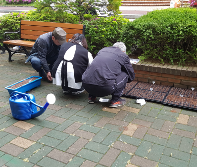 꽃씨파종-1.png