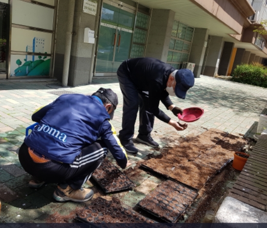 꽃씨파종-1.jpg
