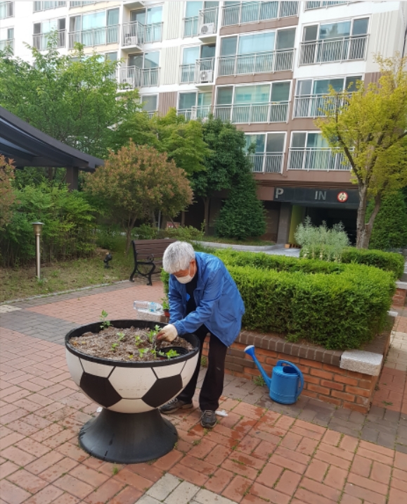 모종심기.jpg